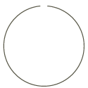 GWZ.Logo.Ani.circle